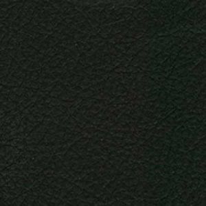 Standard Leather Black.jpg